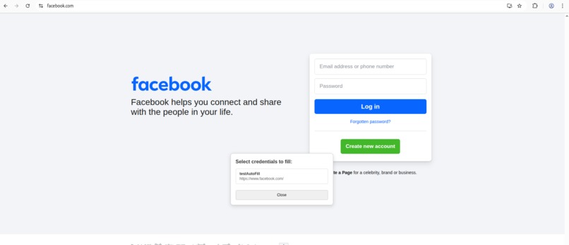 Password Manager Chrome Extension – screenshot 1
