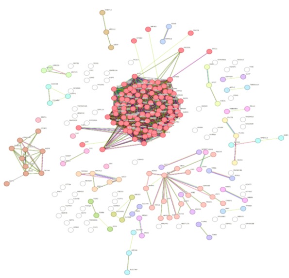 Addressing cancer therapy: a protoype of gene analysis – screenshot 1