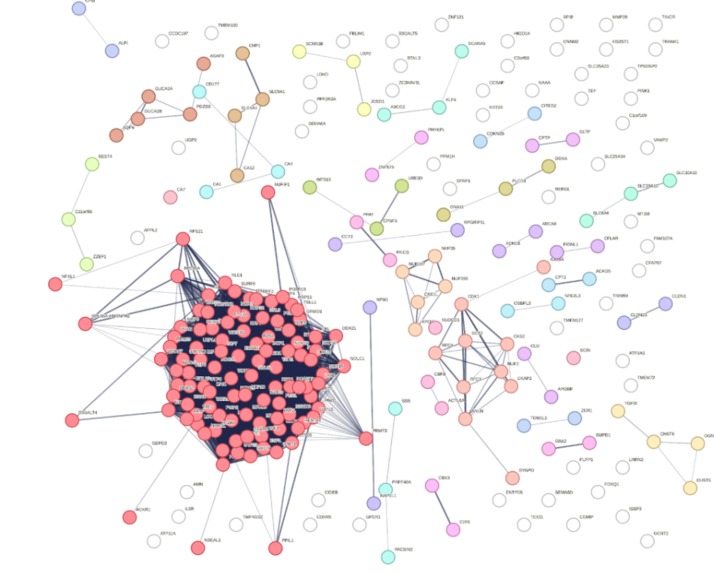 Addressing cancer therapy: a protoype of gene analysis – screenshot 2