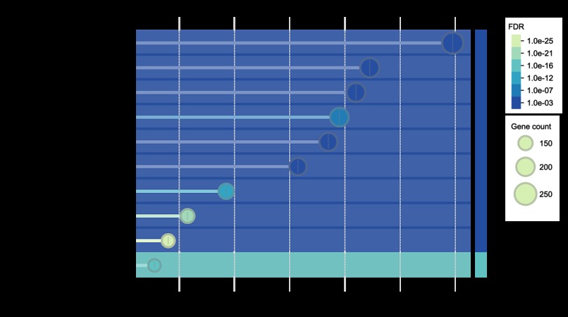 Addressing cancer therapy: a protoype of gene analysis – screenshot 3