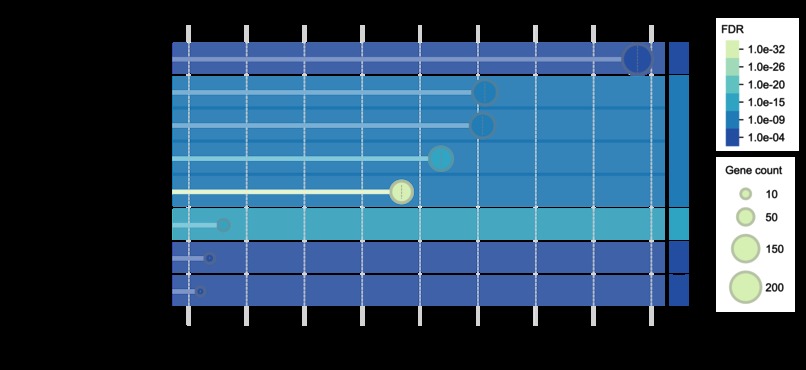 Addressing cancer therapy: a protoype of gene analysis – screenshot 4