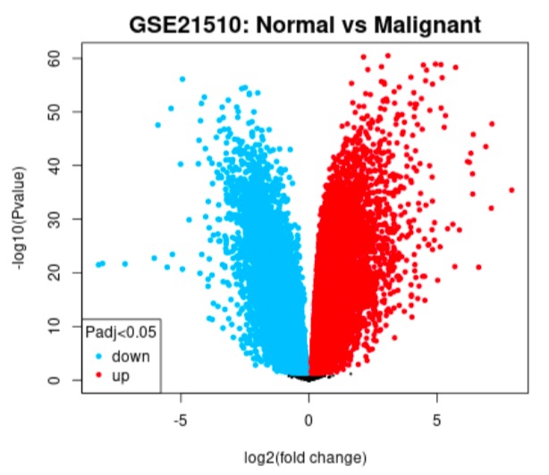 Addressing cancer therapy: a protoype of gene analysis – screenshot 6