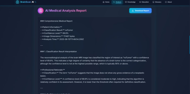 NeuroScan AI - Intelligent Brain Tumor Diagnostic System – screenshot 4