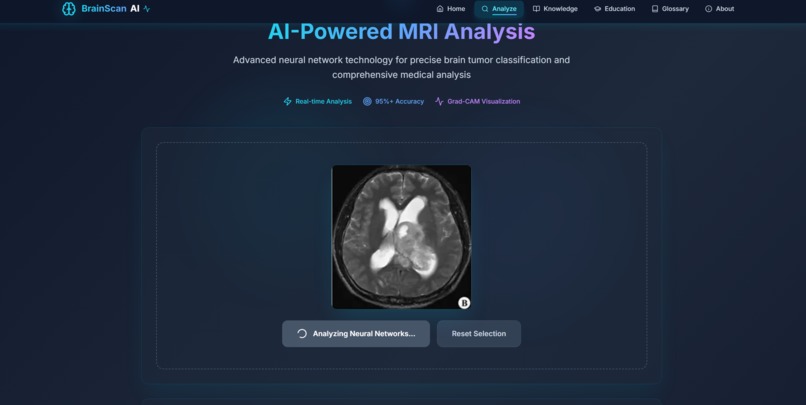 NeuroScan AI - Intelligent Brain Tumor Diagnostic System – screenshot 8