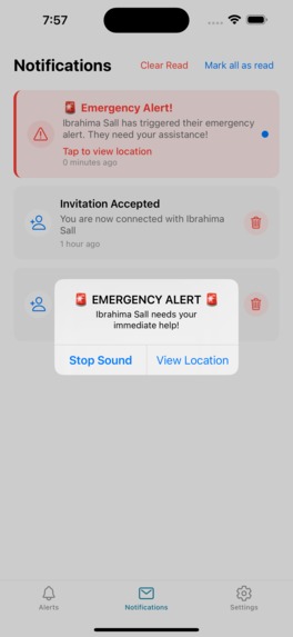 Emergenciz – screenshot 4