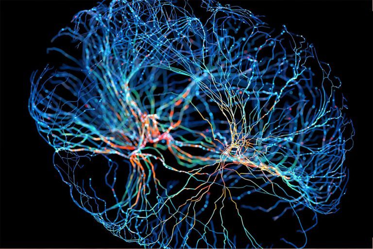 Bihemispheric neuromorphic network – screenshot 2
