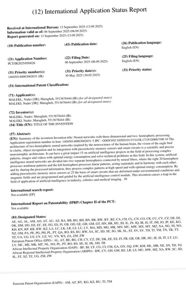  Bihemispheric Neuromorphic Network – screenshot 4