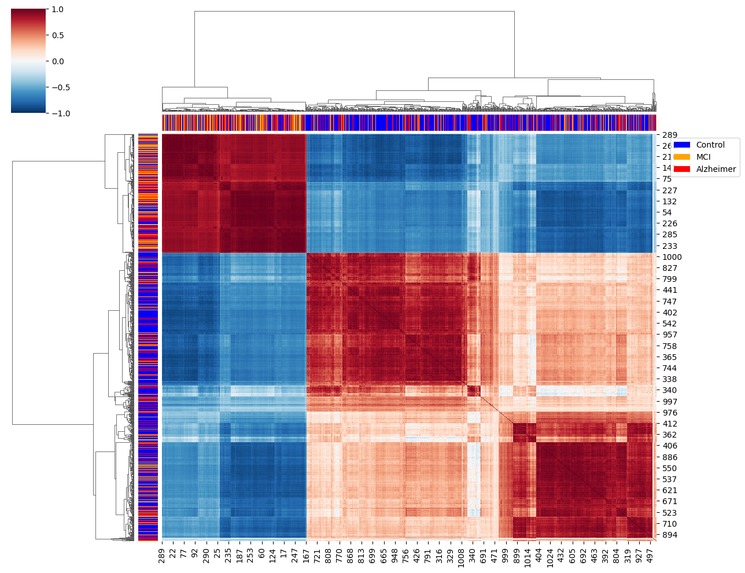 Epigenetic Markers of Memory Loss – screenshot 7