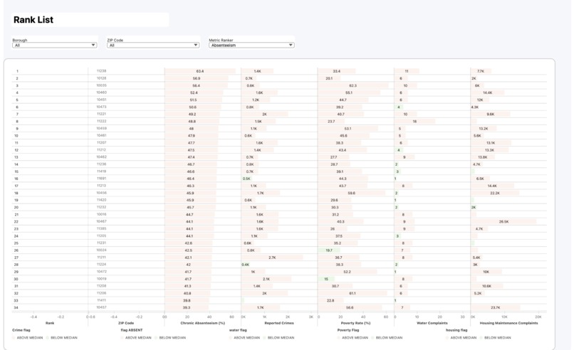NYC Community Vitality Dashboard – screenshot 2