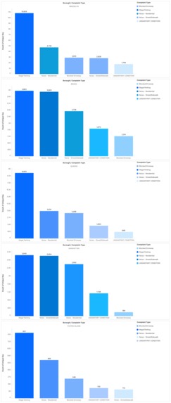 NYC 311 Complaints: Insights for a Better City – screenshot 2