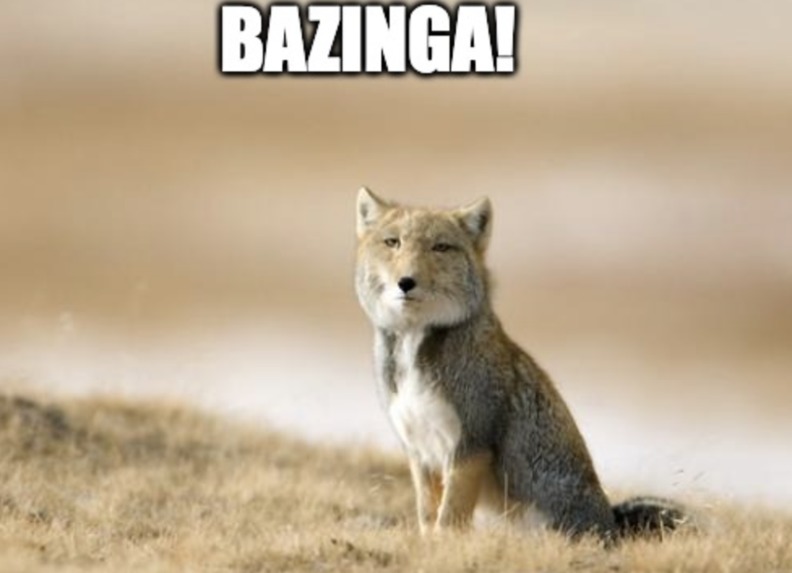 Agentic Online Boutique – screenshot 1