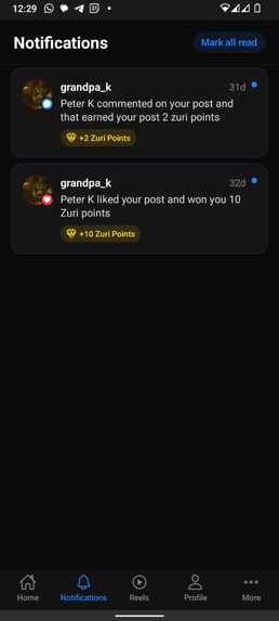 Stark Zuri – screenshot 4