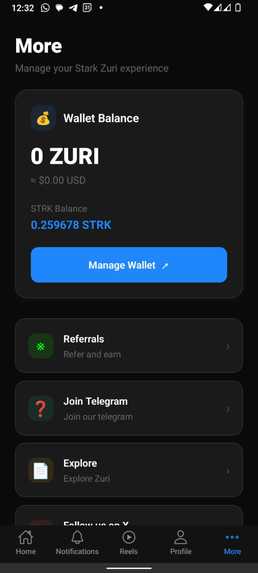 Stark Zuri – screenshot 5