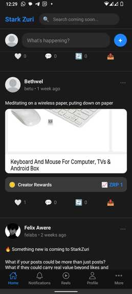 Stark Zuri – screenshot 6
