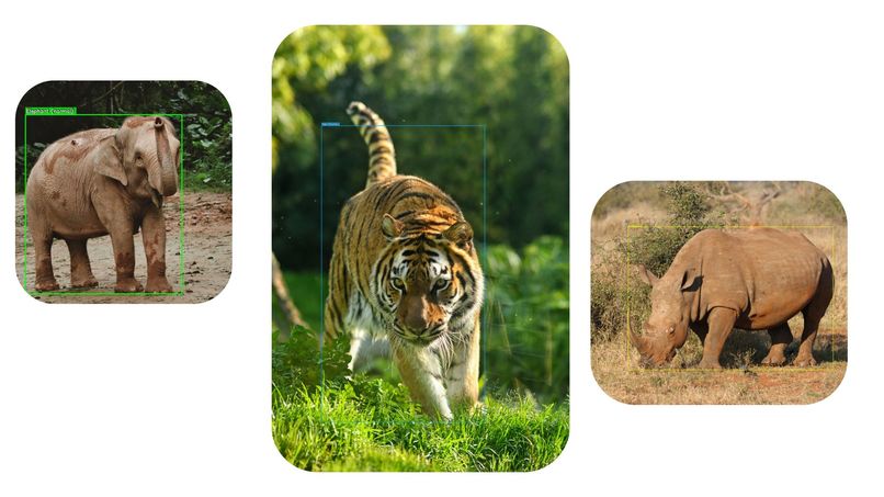 Wildlife-Protection-Chain – screenshot 1