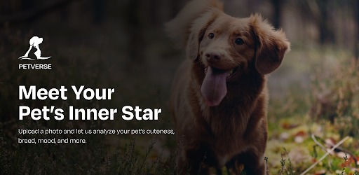 PetVerse – screenshot 1