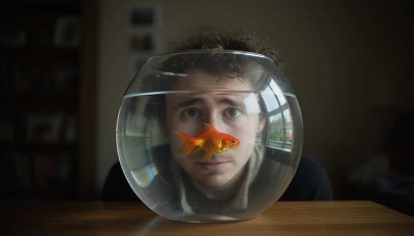 Like – screenshot 3