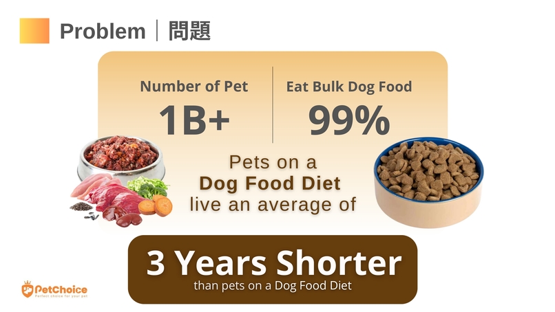 PetChoice AI – screenshot 10