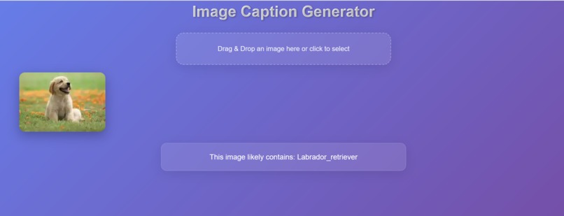 Image Caption Generator – screenshot 1