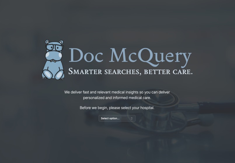 Doc McQuery – screenshot 2