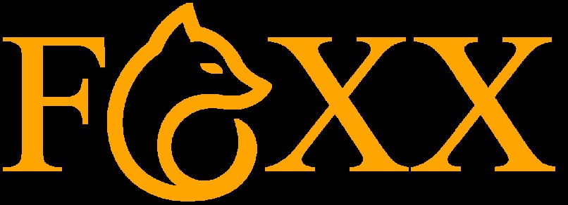 The FOXX Controller: Accessibility For Pro Gaming – screenshot 3