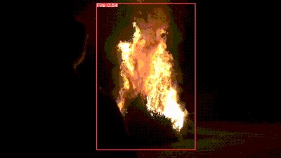 BushGuard: Early Australian Forest Fire Detection – screenshot 1