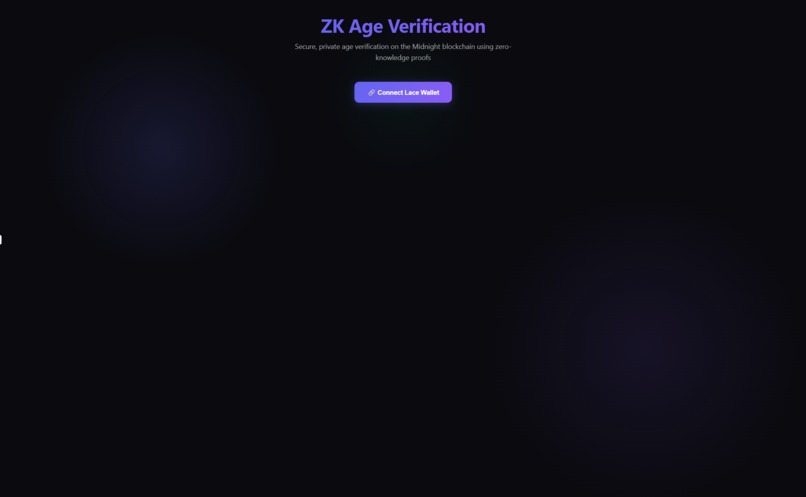 zk-age-verifier – screenshot 1