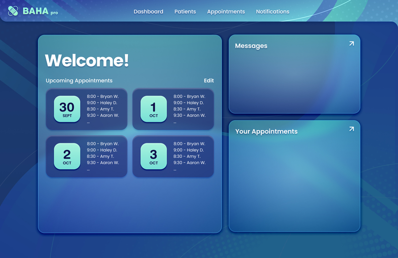 BAHA – screenshot 3