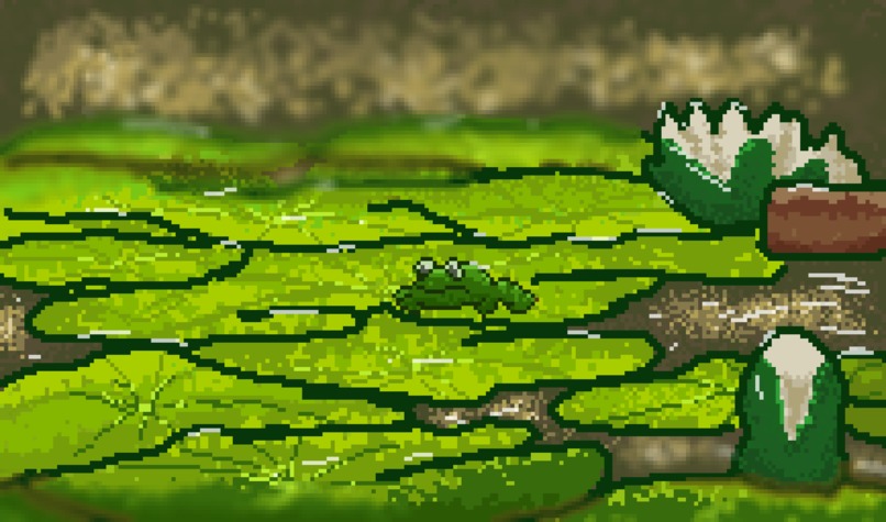 Fishy Focus – screenshot 4