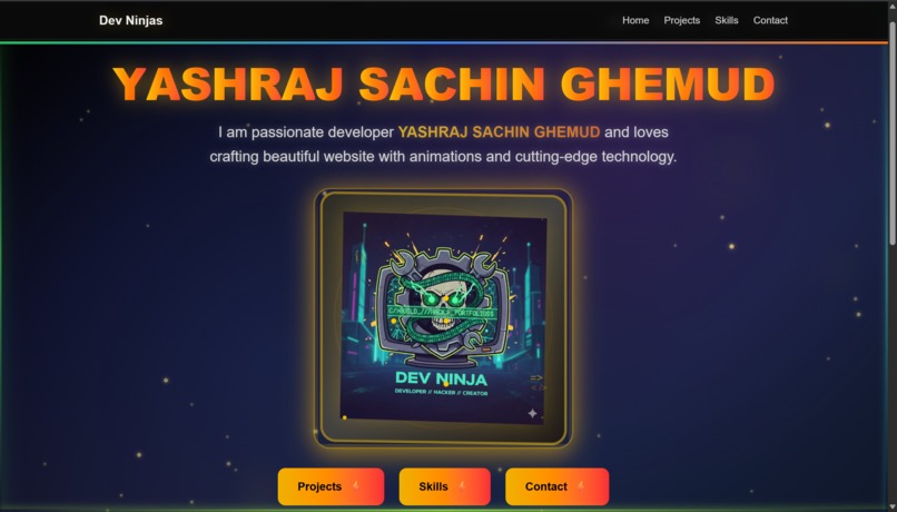 Dev Ninja Portfolio – screenshot 1