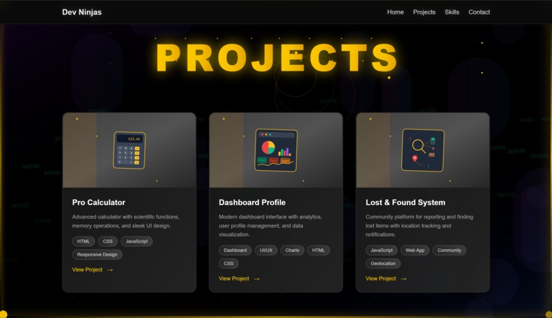 Dev Ninja Portfolio – screenshot 3