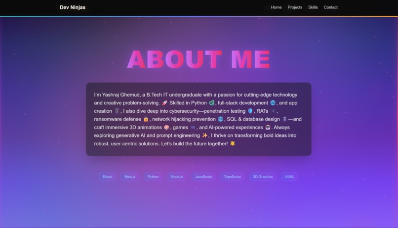 Dev Ninja Portfolio – screenshot 2