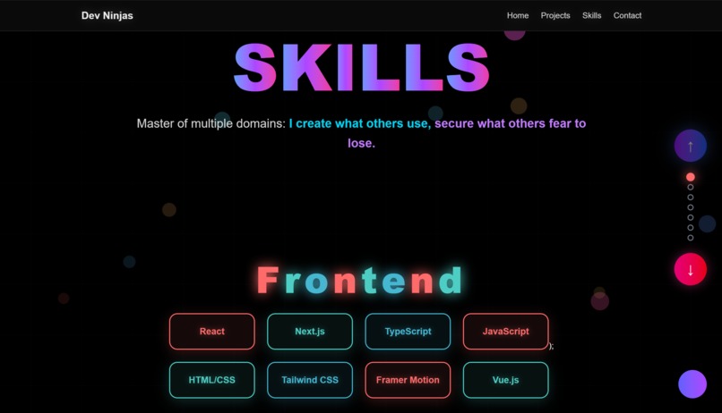 Dev Ninja Portfolio – screenshot 4