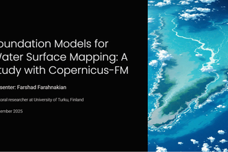 Foundation Models for Water Surface Mapping