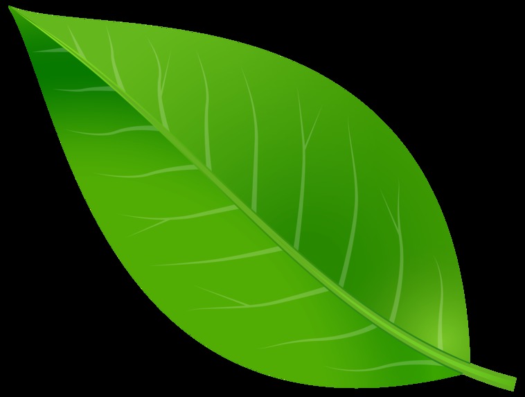 EcoBot – screenshot 1