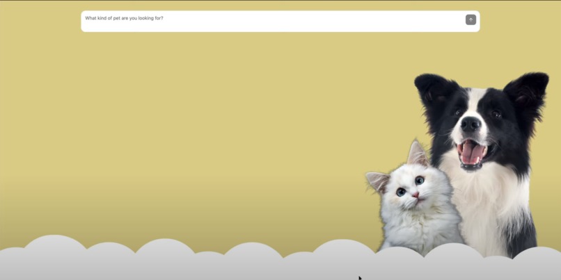 Adoptly – screenshot 2