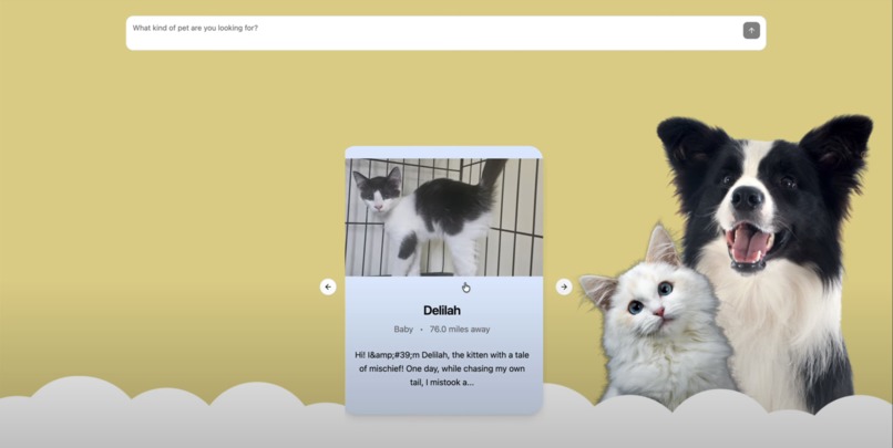 Adoptly – screenshot 3