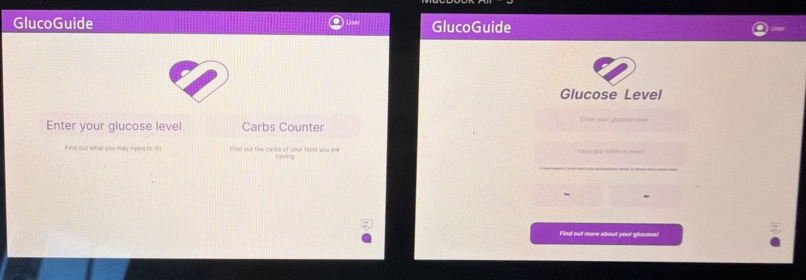 GlucoGuide – screenshot 2