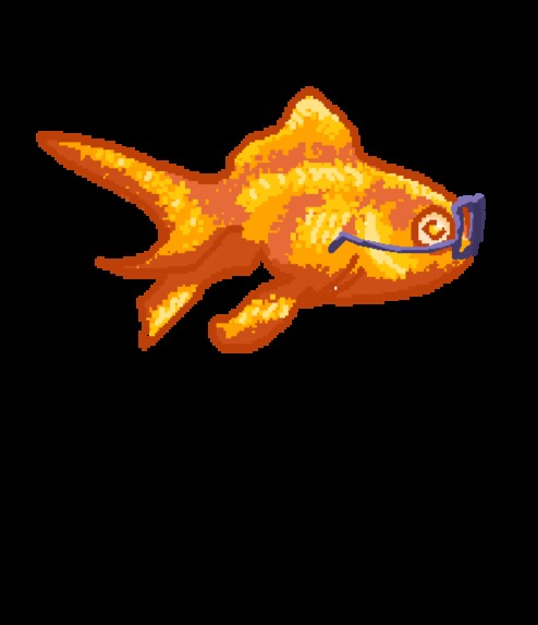 Fishy Focus – screenshot 6