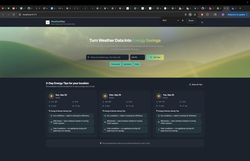 Weather Wise  – screenshot 1