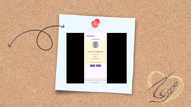 Pawconnects – screenshot 4