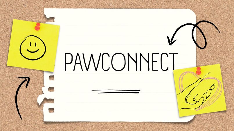 Pawconnects – screenshot 1