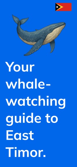 Whale Spotter  – screenshot 2