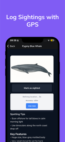Whale Spotter  – screenshot 5