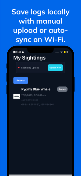 Whale Spotter  – screenshot 6