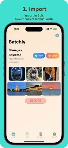BatchlyBee Bulk Image Editor – screenshot 3