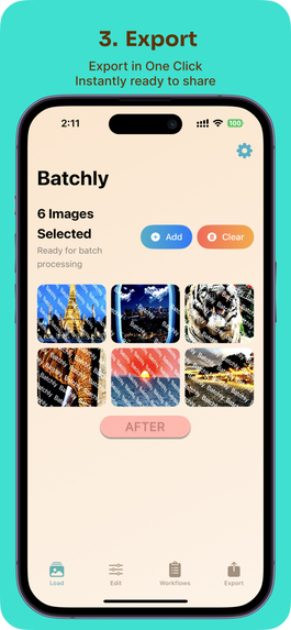 BatchlyBee Bulk Image Editor – screenshot 2