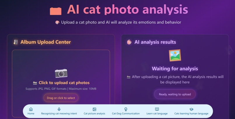PetLingo-CatPlanet – screenshot 6