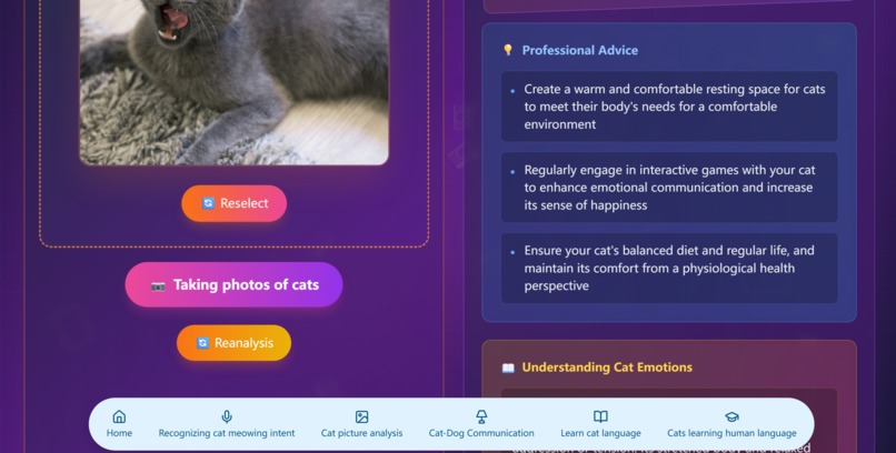 PetLingo-CatPlanet – screenshot 8
