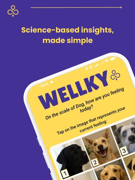 Wellky – screenshot 1